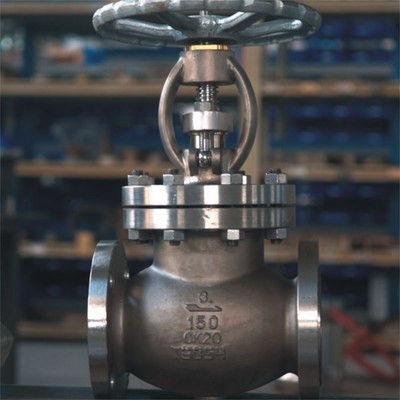 Cryogenic Globe Valve